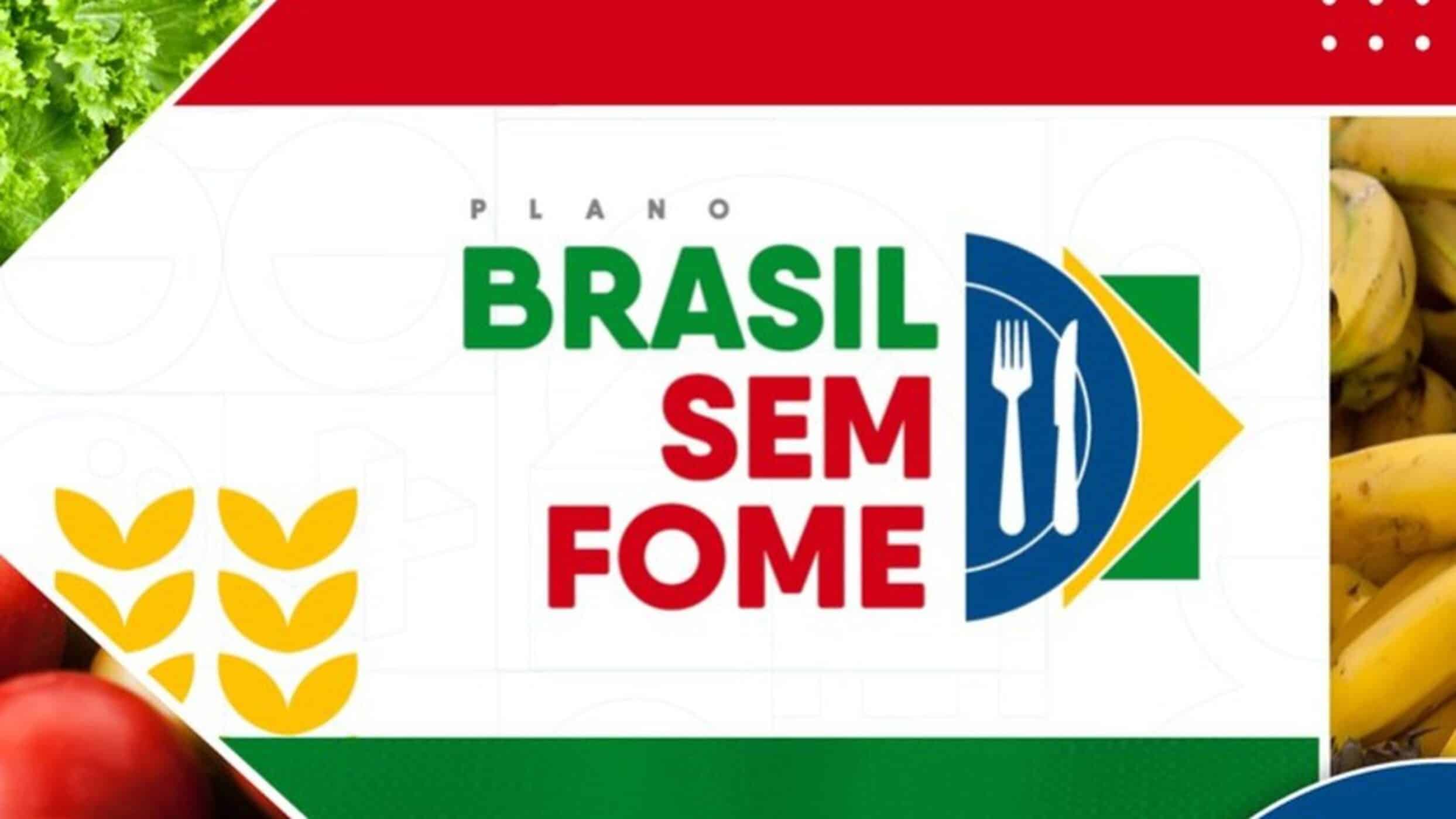 Novo Programa BRASIL SEM FOME: Quem Tem O Bolsa Família Poderá Receber?